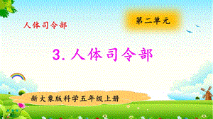 大象版五年級上冊科學2.3人體司令部教學課件.pptx