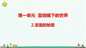 大象版六年級上冊科學1.2發面的秘密（含練習）課件.pptx