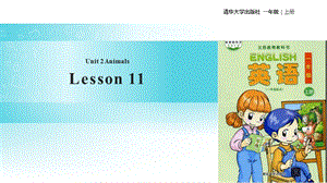 清華版一年級上冊英語Unit 2 Lesson 11 教學課件.ppt
