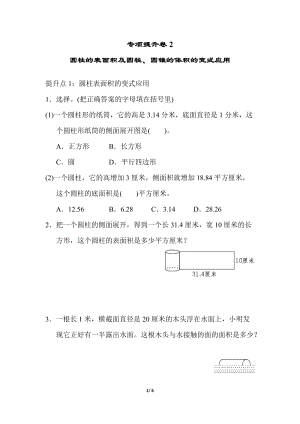青島版數學六年級（下）專項提升卷2.docx