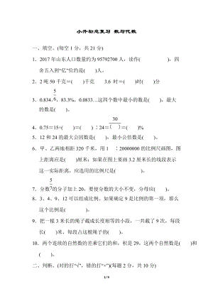 青島版數學六年級（下）小升初總復習數與代數.docx