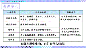 北師大版八年級下冊生物22.2《原生生物的主要類群》課件.pptx