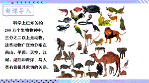 北師大版八年級下冊生物22.4.1《腔腸動物、扁形動物、線蟲動物、軟體動物》課件.pptx