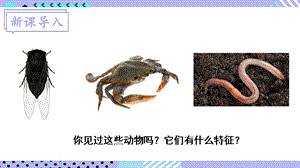 北師大版八年級下冊生物22.4.2《環節動物和節肢動物》課件.pptx