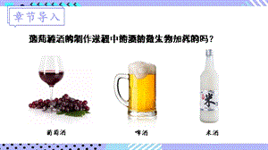 北師大版八年級(jí)下冊(cè)生物25.1發(fā)酵技術(shù)課件.pptx