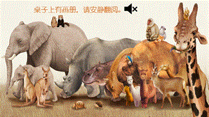 魯教版三年級下冊美術19《保護珍稀野生動物》課件（音視頻素材已插入）.pptx