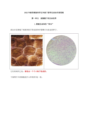 2022年新蘇教版科學五年級下冊學生活動手冊答案.docx