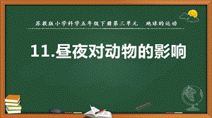 2022新蘇教版五年級下冊科學11.晝夜對動物的影響-課件（教學）.pptx