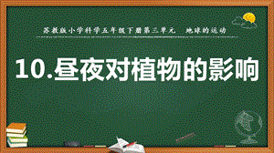 2022新蘇教版五年級下冊科學10.晝夜對植物的影響-課件（教學）.pptx
