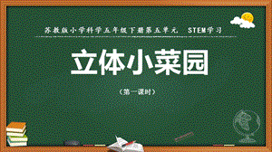 2022新蘇教版五年級(jí)下冊(cè)科學(xué)STEM學(xué)習(xí)：立體小菜園-課件（教學(xué)）.pptx