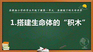2022新蘇教版五年級下冊科學(xué)1.搭建生命體的“積木”-課件（教學(xué)）.pptx