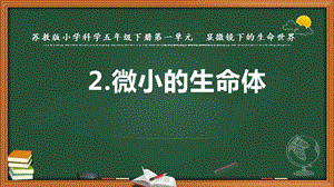 2022新蘇教版五年級下冊科學(xué)2.微小的生命體-課件（教學(xué)）.pptx