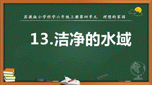 2022新蘇教版六年級下冊科學13.潔凈的水域-課件（教學）.pptx