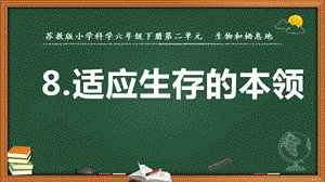2022新蘇教版六年級下冊科學(xué)8.適應(yīng)生存的本領(lǐng)-課件（教學(xué)）.pptx