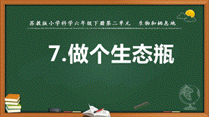 2022新蘇教版六年級下冊科學(xué)7.做個生態(tài)瓶-課件（教學(xué)）.pptx
