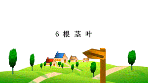 人教鄂教版三年級下冊科學6 根 莖 葉 課件.ppt