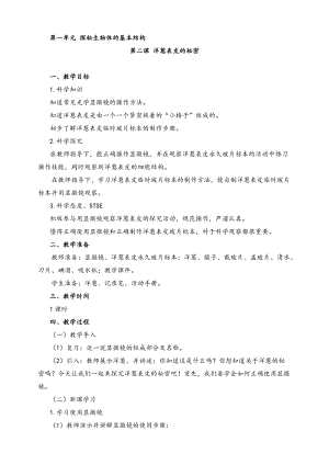 2022新湘科版五年級下冊科學(xué)1.2洋蔥表皮的秘密教案.doc