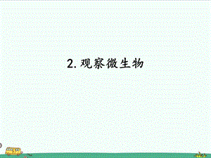 2022湘科版五年級下冊科學2.2觀察微生物課件.pptx