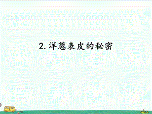 2022湘科版五年級下冊科學1.2洋蔥表皮的秘密課件.pptx