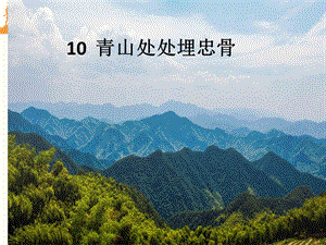 五年級下學期第四單元10課青山處處埋忠骨說課課件.pptx