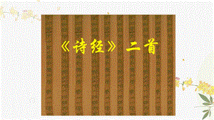人教部編版（54制）八年級下冊語文12.詩經二首教學課件.pptx