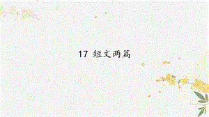 人教部編版（54制）七年級下冊語文17 短文兩篇 教學課件.pptx
