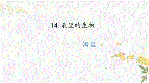 人教部編版（54制）六年級(jí)下冊(cè)語文14表里的生物教學(xué)課件.pptx