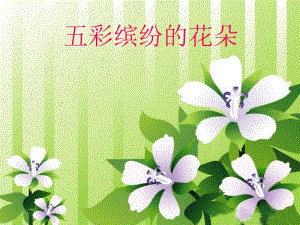 桂美版一年級下冊美術3《五彩繽紛的花朵》課件.ppt