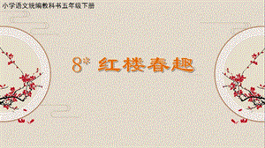 人教部編版五年級下冊8《紅樓春趣》課件（孫老師公開課）.pptx