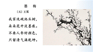 人教部編版五年級上冊1《白鷺》課件（李老師公開課）.pptx