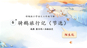 人教部編版六下語(yǔ)文6《騎鵝旅行記（節(jié)選）》課件（吳老師公開(kāi)課）.pptx