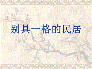 桂美版三年級下冊美術《別具一格的民居》課件.ppt