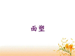 桂美版五年級上冊美術《面塑》課件.ppt