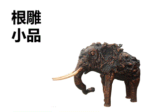 桂美版六年級下冊美術根雕小品課件.ppt