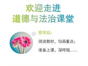 人教部編版七下道德與法治10.2《我們與法律同行》課件（遼寧省級優課）.pptx
