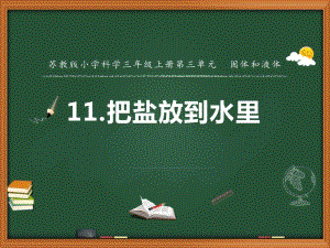 蘇教版三年級上冊科學11.把鹽放到水里（第二課時） 教學課件.pptx