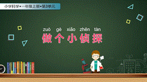 蘇教版一年級上冊科學課件-7 做個小偵探-蘇教版 (共9張PPT).ppt