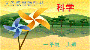 教科版一年級上冊科學1.1.我們知道的植物 教學課件.pptx