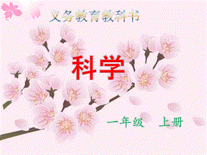 教科版一年級(jí)上冊(cè)科學(xué)1.4.這是誰的葉 教學(xué)課件.ppt