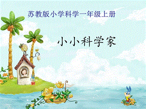 蘇教版一年級上冊科學課件-1 小小科學家-蘇教版(共17張PPT).ppt