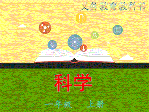 教科版一年級上冊科學2.5.用相同的物體來測量 教學課件.pptx