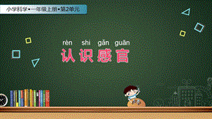 蘇教版一年級上冊科學課件-4.認識感官-蘇教版 (共26張PPT).ppt