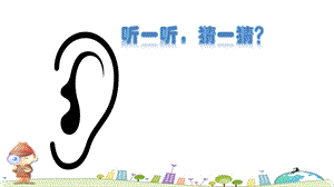 蘇教版一年級上冊科學課件-7 做個小偵探-蘇教版 (共20張PPT).ppt