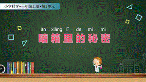 蘇教版一年級上冊科學課件-8.暗箱里的秘密-蘇教版 (共16張PPT).ppt
