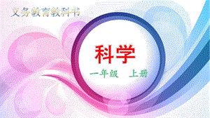 教科版一年級上冊科學1.5.植物是“活”的嗎 教學課件.pptx