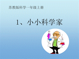 蘇教版一年級上冊科學課件-1 小小科學家-蘇教版(共11張PPT).ppt