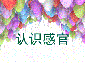 蘇教版一年級上冊科學課件-4 認識感官-蘇教版 (共17張PPT).pptx