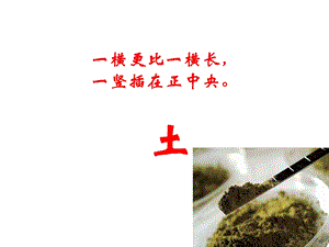 教科版二年級上冊科學1.2、土壤-動植物的樂園教學課件.pptx