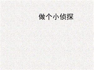 蘇教版一年級上冊科學課件-7 做個小偵探-蘇教版 (共10張PPT).pptx