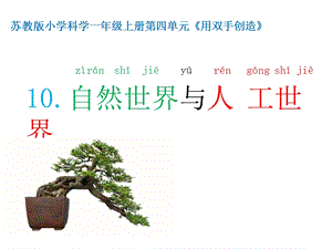蘇教版一年級上冊科學課件-10.自然世界與人工世界-蘇教版 (共16張PPT).pptx